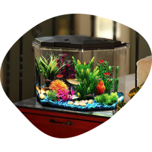 Injection molding-PS-Fish tank with LED Lighting